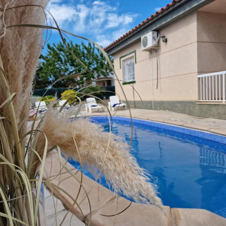Riumar "Angeles", 210m to beach, private pool, On-Site-Service, dog beach - Casa de 3 dormitorios - 1