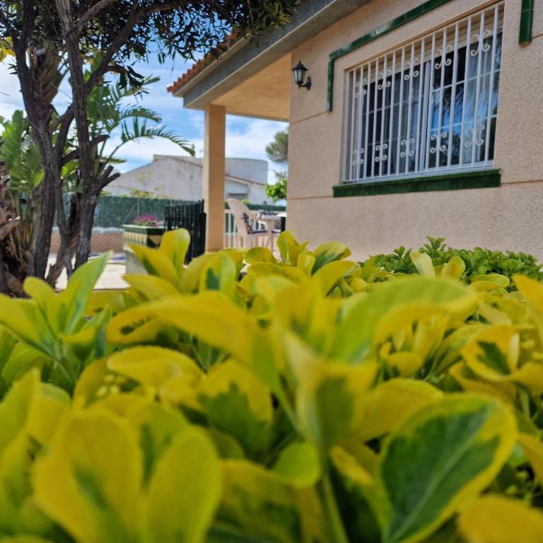 Riumar "Angeles", 210m to beach, private pool, On-Site-Service, dog beach - Casa de 3 dormitorios - 8