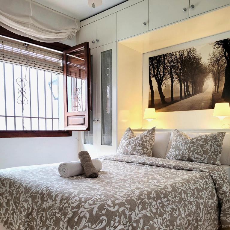 Lola5 - Apartamento de 2 dormitorios - 9