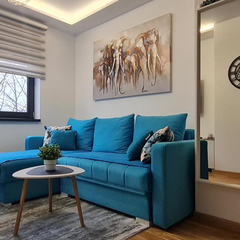PLAVA ZVEZDA ZLATIBOR apartman u kompleksu Titova vila Zlatibor - One-Bedroom Apartment - 3