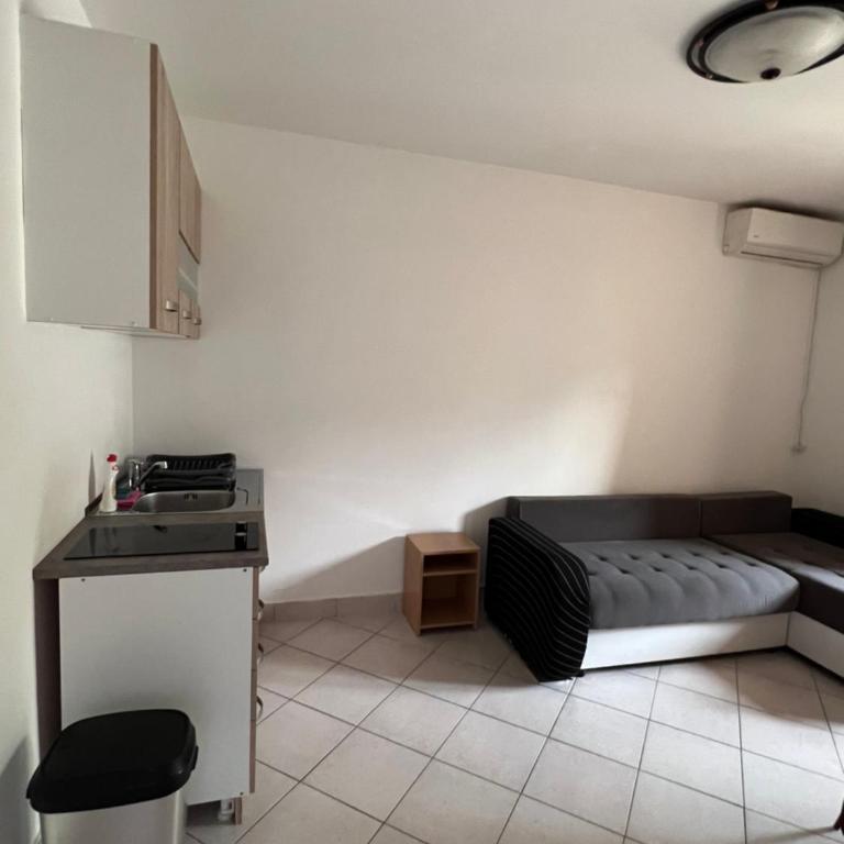 Ksenia Guesthouse Apartments and Studios - Apartman sa Pogledom na Vrt - 2