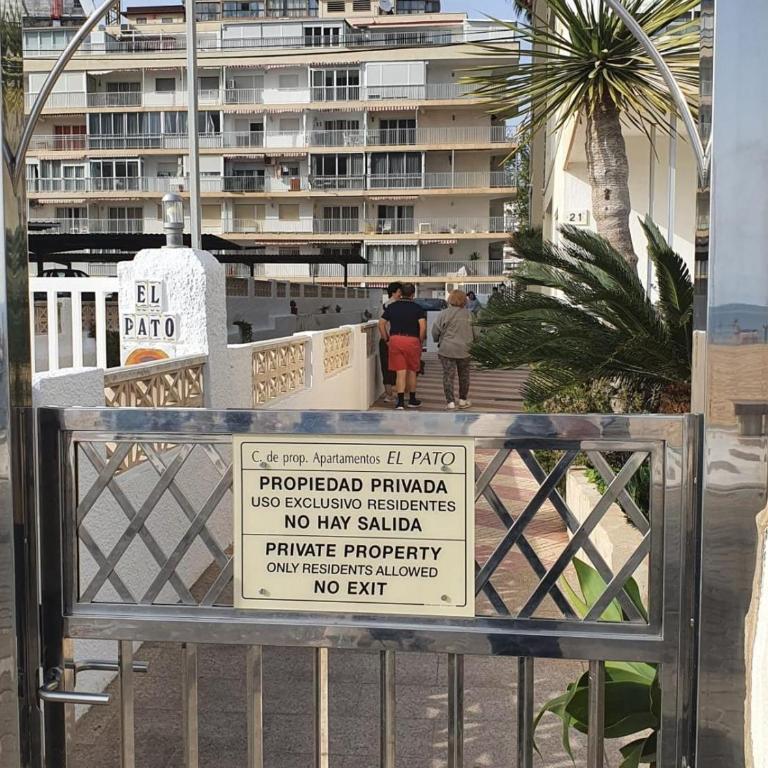 First line apartment with 3 bedrooms and seaviews - Apartment - 14