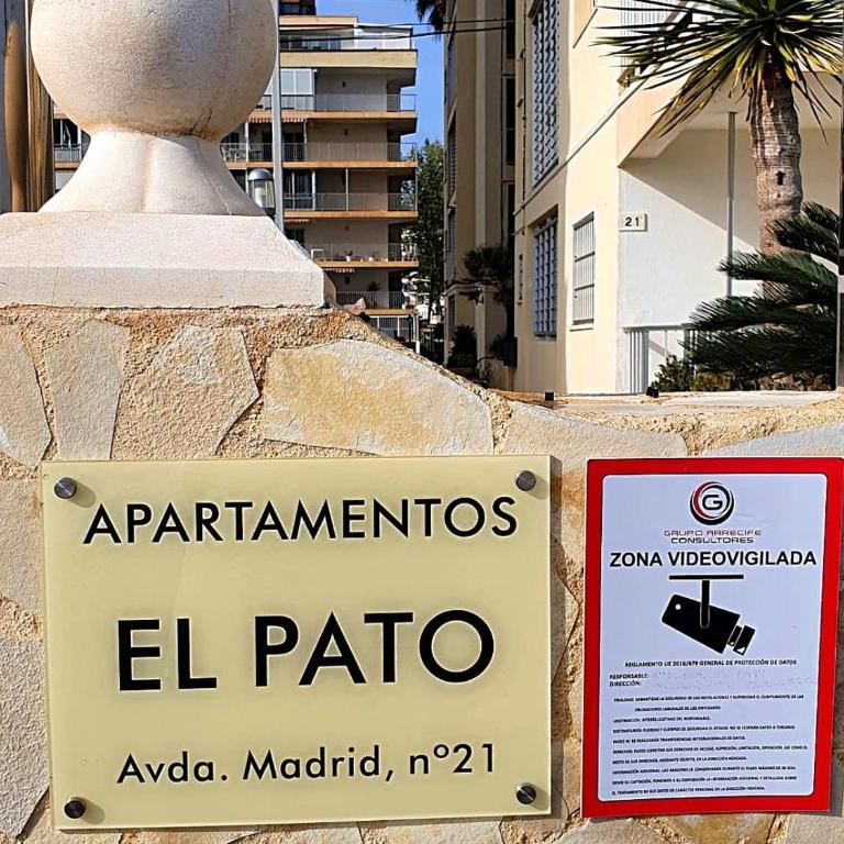 First line apartment with 3 bedrooms and seaviews - Apartment - 15
