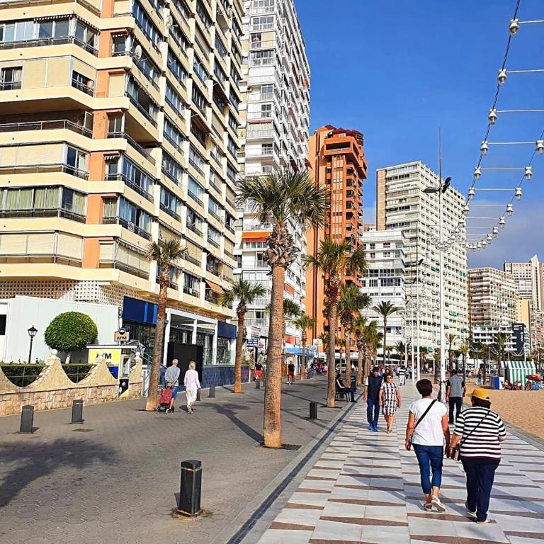 First line apartment with 3 bedrooms and seaviews - Apartment - 17