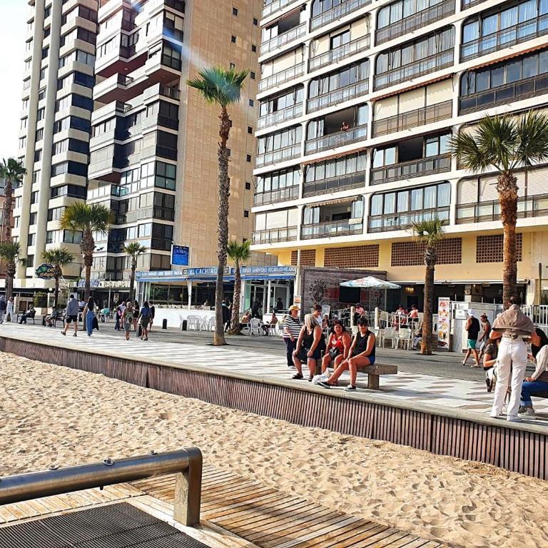 First line apartment with 3 bedrooms and seaviews - Apartment - 18