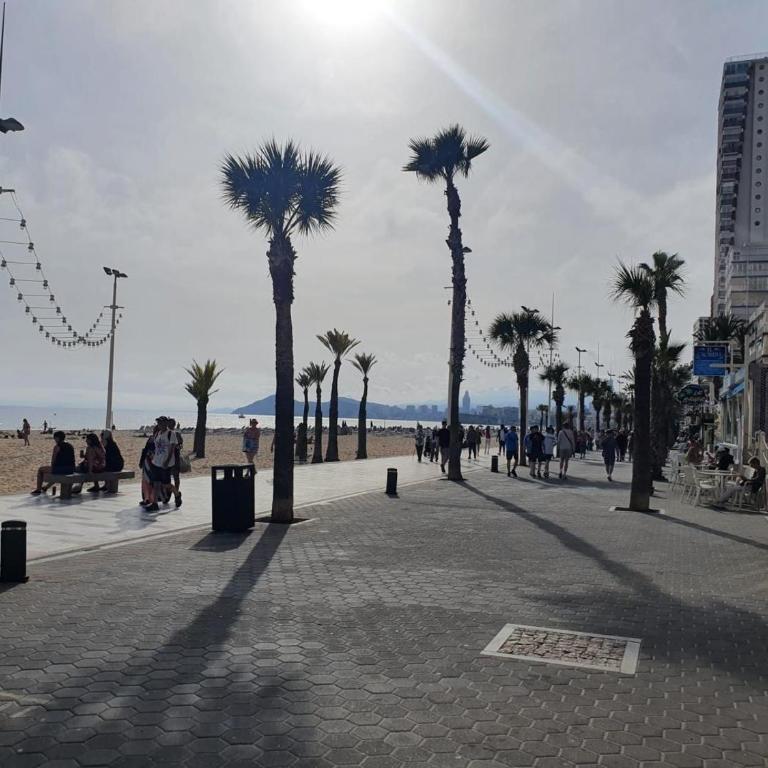 First line apartment with 3 bedrooms and seaviews - Apartment - 19