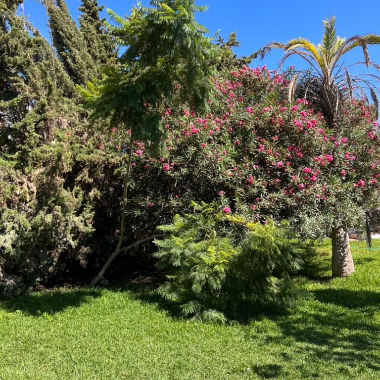 Casa Piscina - Villa - 16