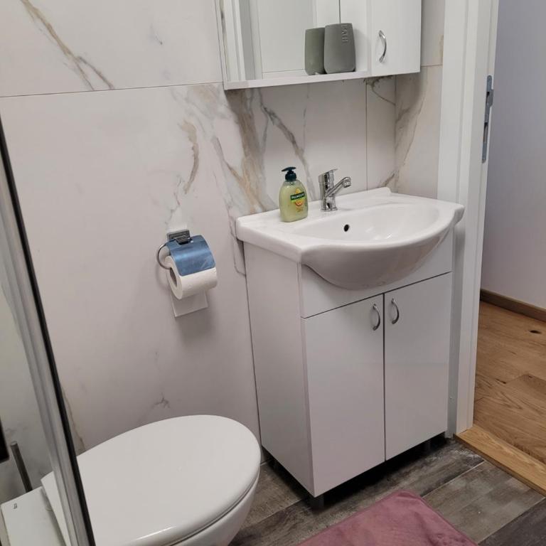 Apartman Ruža - Studio Apartment - 6