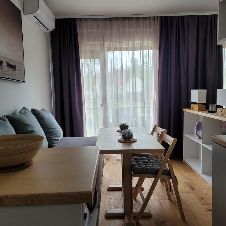 Apartman Ruža - Studio Apartment - 2