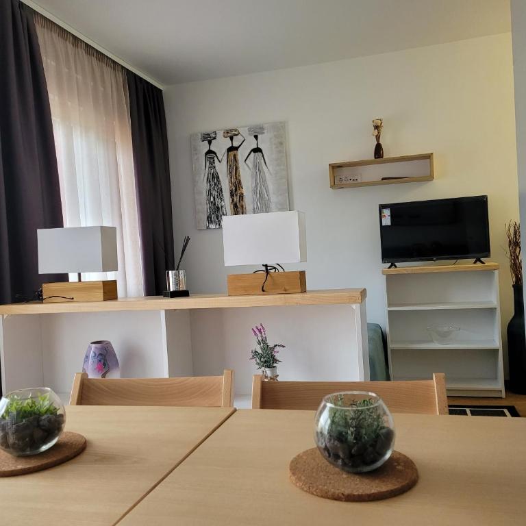 Apartman Ruža - Studio Apartment - 7