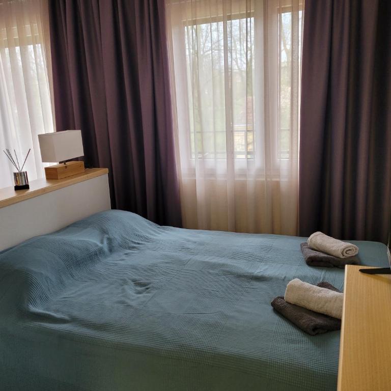 Apartman Ruža - Studio Apartment - 8