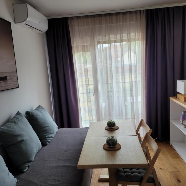 Apartman Ruža - Studio Apartment - 13