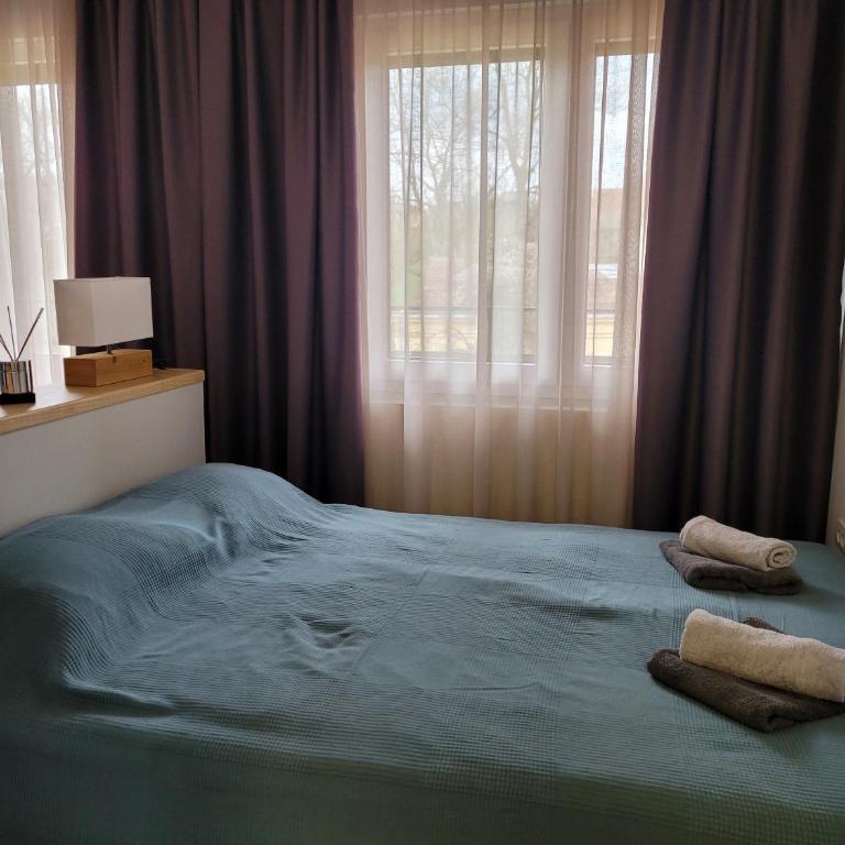 Apartman Ruža - Studio Apartment - 1