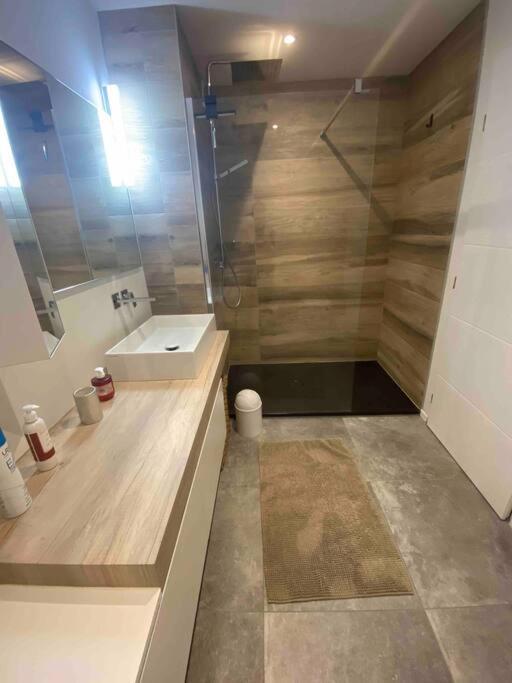 Belle grande marina en duplex avec appontement - Maison 3 Chambres - 10