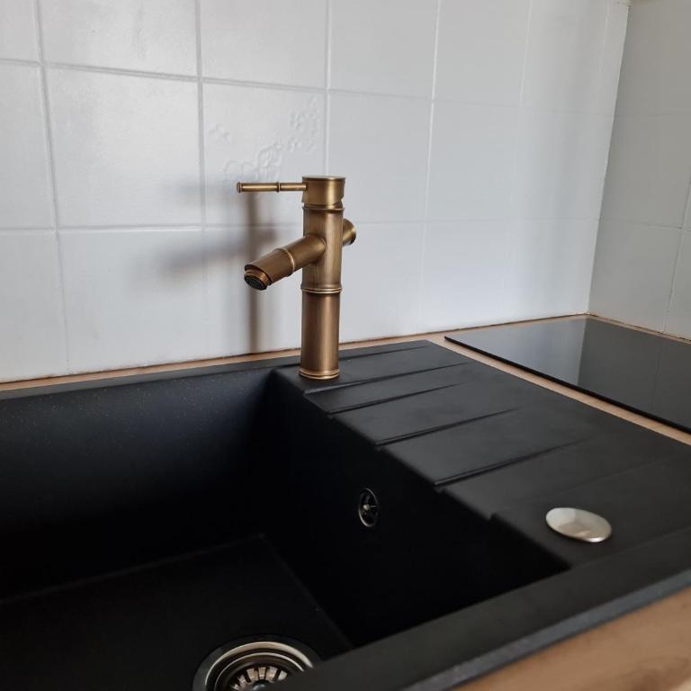 Splendide appartement GOLDEN HOUSE vue LAC et montagne - Appartement 1 Chambre - 3
