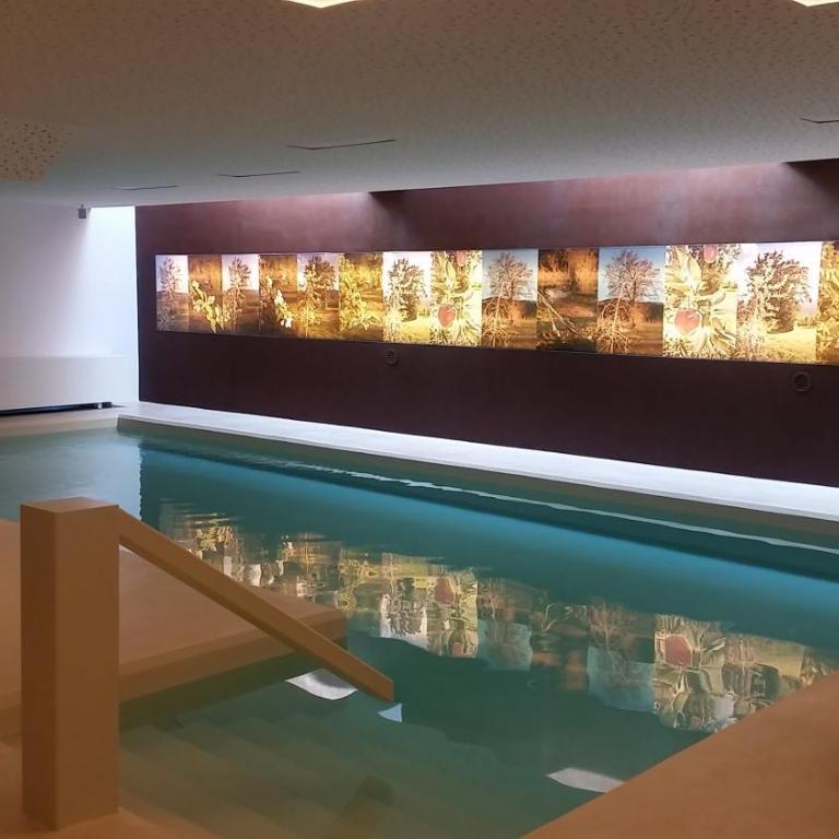 Haus im Erlengrund - Appartamento con 1 Camera da Letto e Vista Montagna - 1