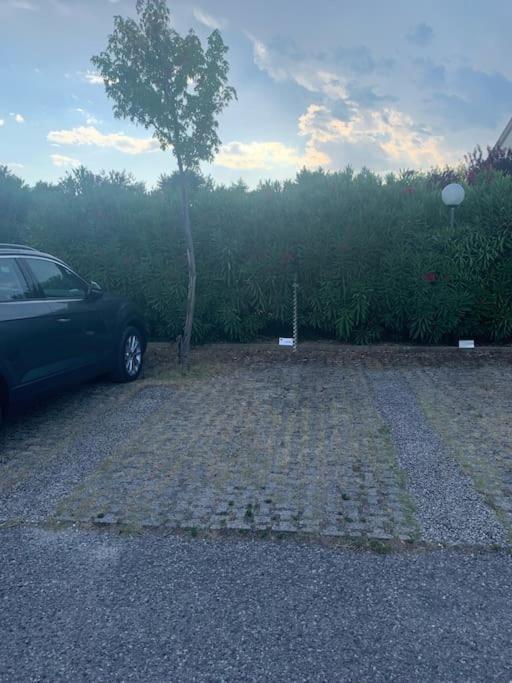 Bernardi apartment il Lauro - Appartamento con 1 Camera da Letto - 32