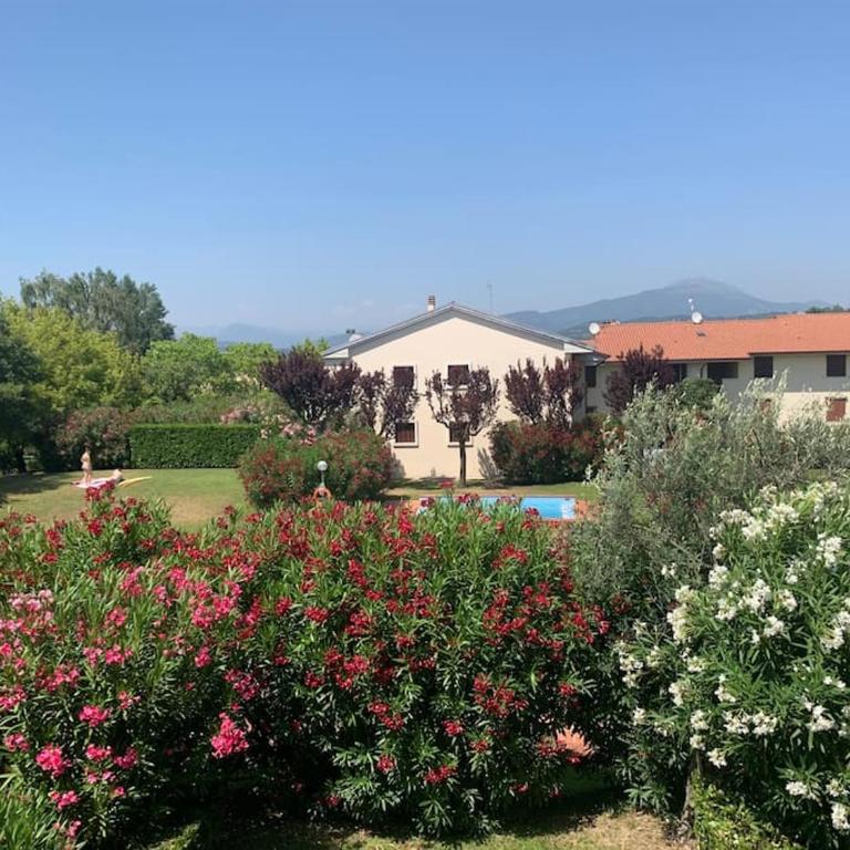 Bernardi apartment il Lauro - Appartamento con 1 Camera da Letto - 23