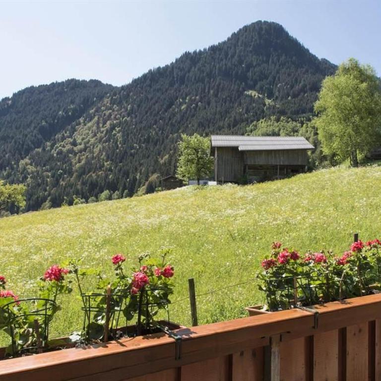 Haus Monika Silvrettablick - Apartment mit 2 Schlafzimmern und Badezimmer - 29