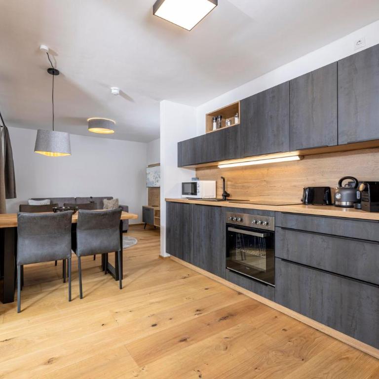 Apartments Austria - Apartment mit 1 Schlafzimmer und Dusche - 1