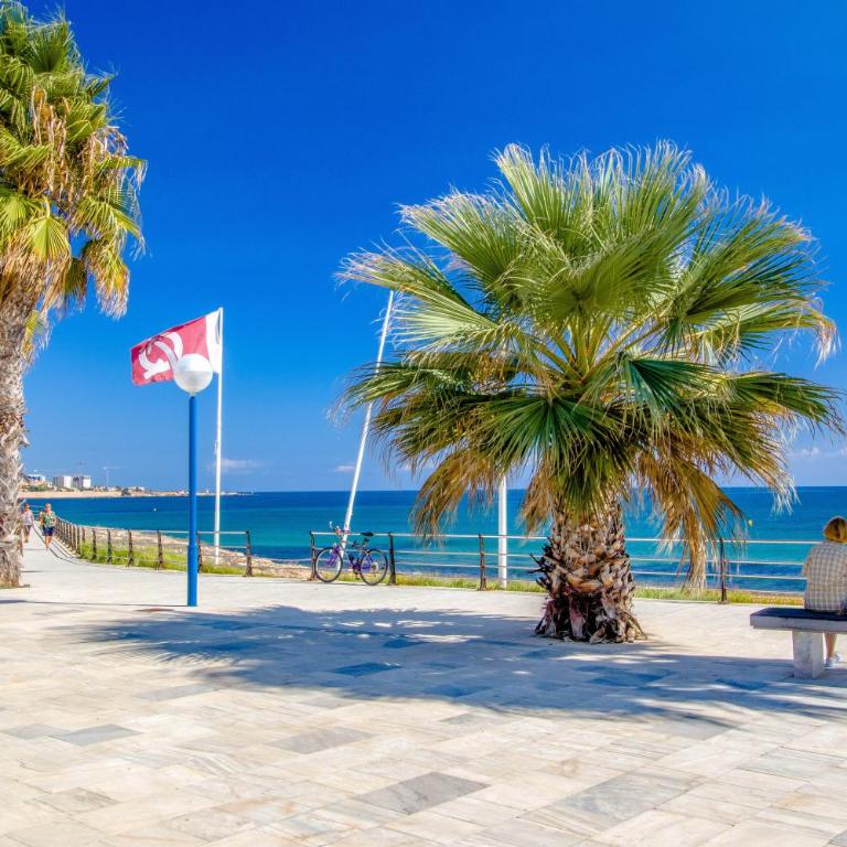 Apartamento La Marina - Apartamento de 2 dormitorios - 31