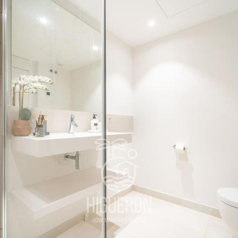 HigueronRentals Mikero - Two-Bedroom Apartment - 48