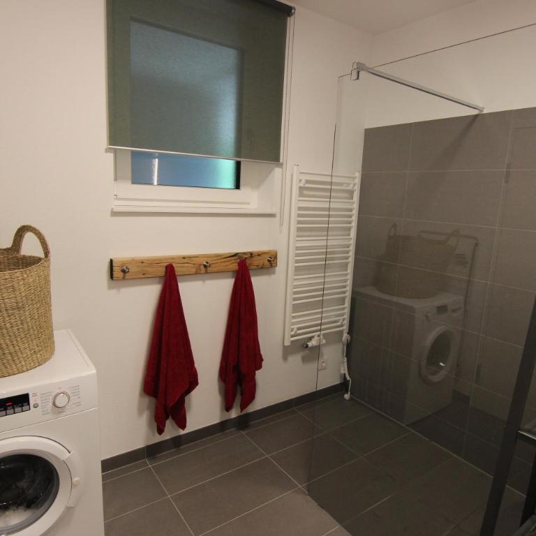 Ferien im grünen Reiterndorf - Apartment mit 1 Schlafzimmer - 10