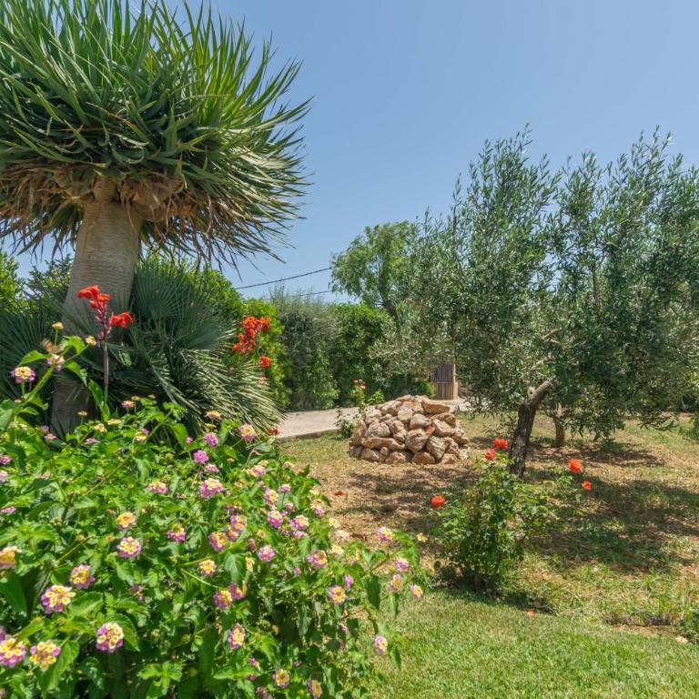 Ca'n Coll - Villa de 4 dormitorios - 34