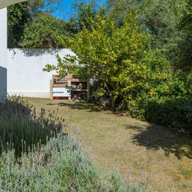 Villa Vista - Villa con piscina privada - 28