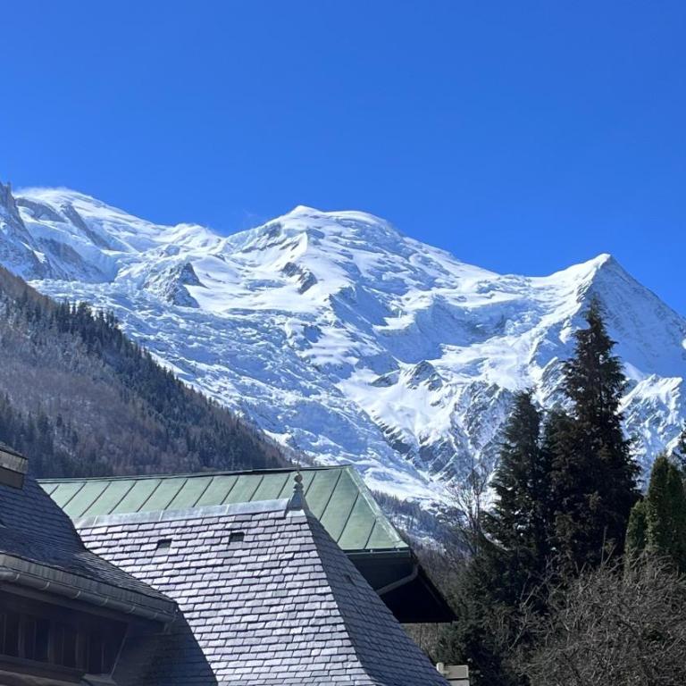 Le 41 du Lyret - Appartement type studio pour deux avec vue sur les Aiguilles dans Chamonix Centre - Estudio con vistas a las montañas - 18