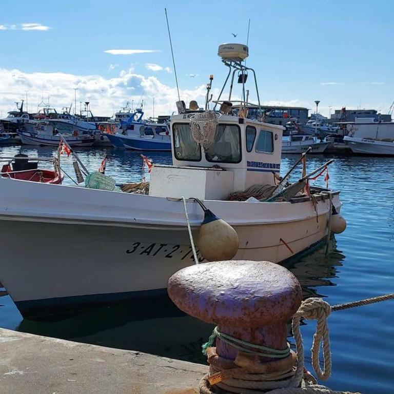 Apartamento Carmen en Santa Pola - Apartamento - 41
