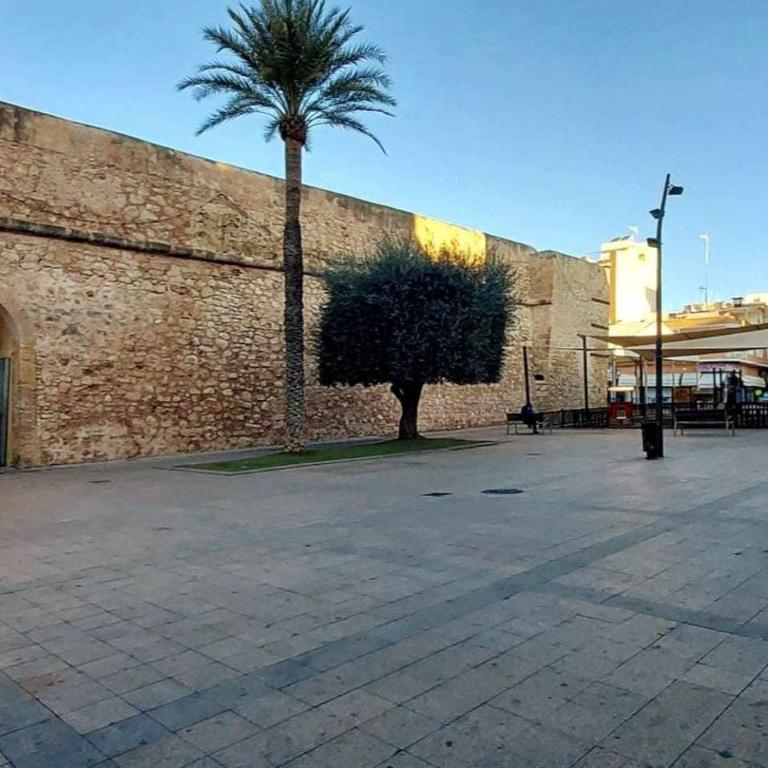 Apartamento Antina 12 en Santa Pola - Apartamento de 2 dormitorios - 64