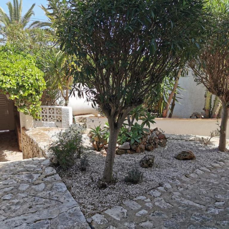 Villa Lo - chill out house - by Holiday Rentals Villamar - Casa - 55