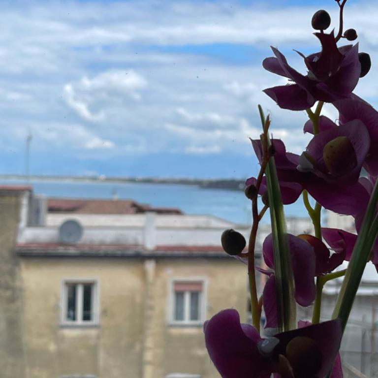 Casa Vacanze - Le Orchidee - Casa Vacanze - 14
