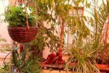 Casa dell'Angelo - Appartement 1 Chambre - 51