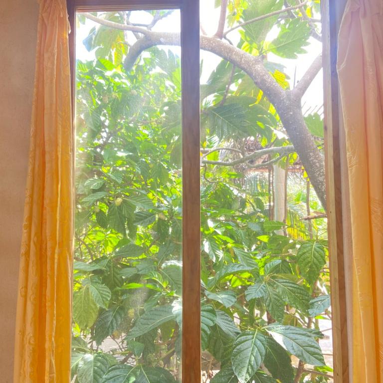 Quinta Salamandra - Doppelzimmer mit eigenem Bad - 17