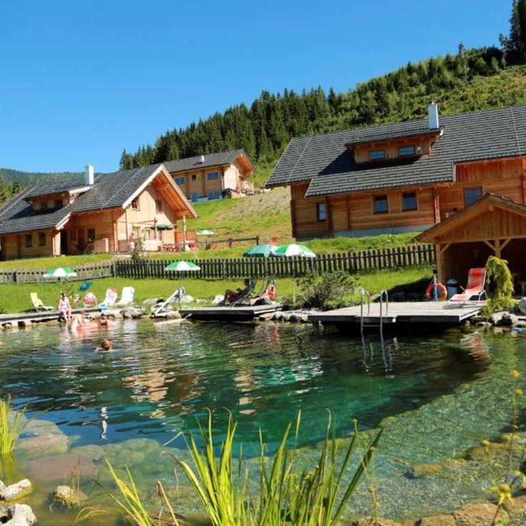 Chalet Dachsteinblick - Chalet - 10