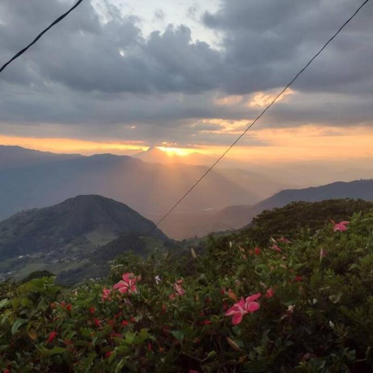 Finca Emilio - One-Bedroom House - 19