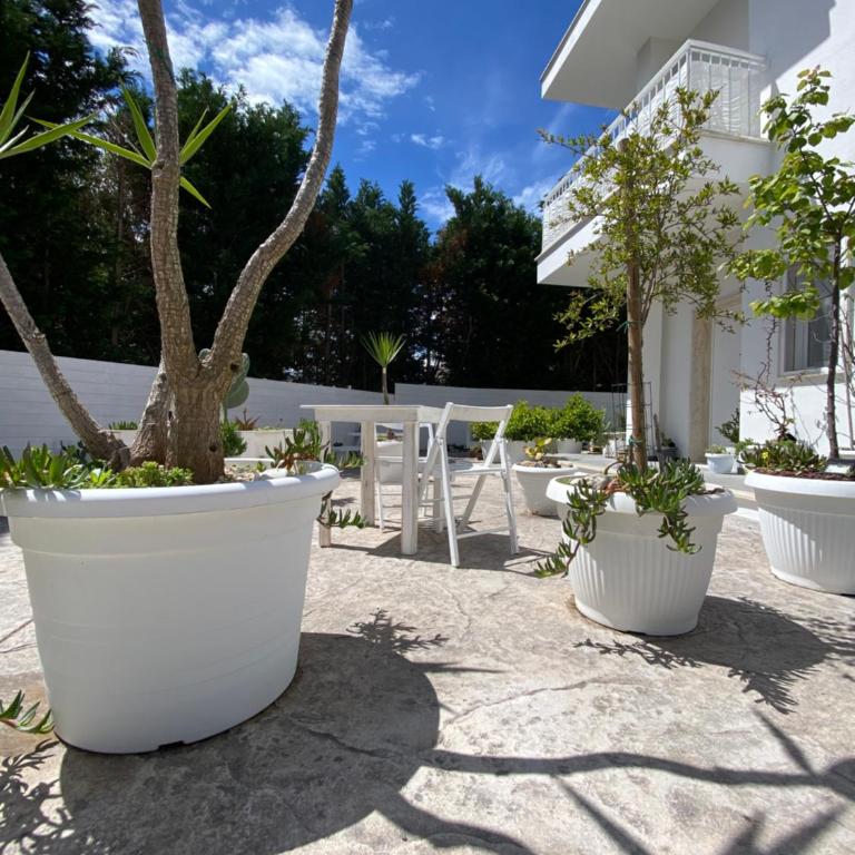 La casa di Nina - Apartment - Ground Floor - 14