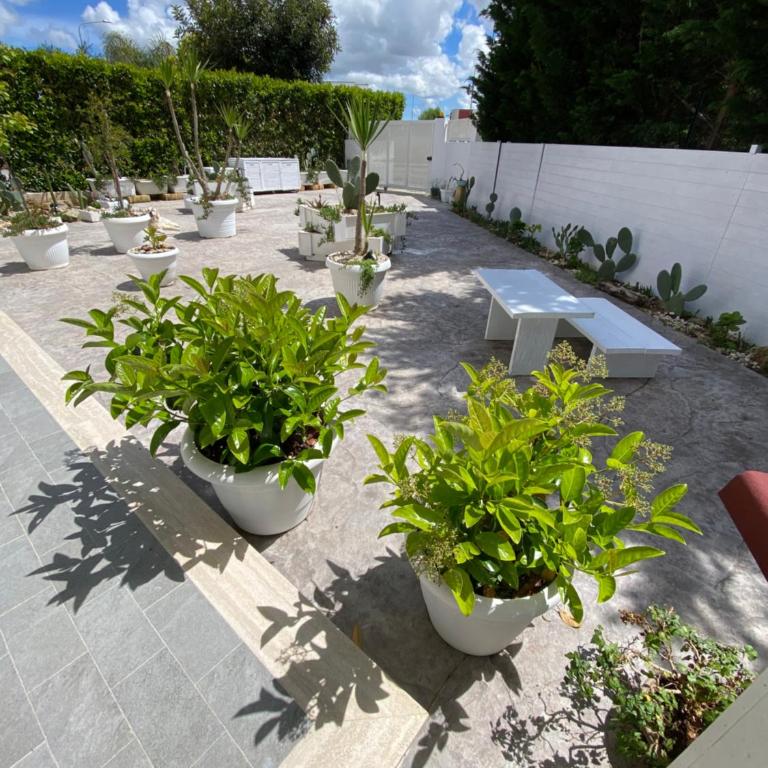 La casa di Nina - Apartment - Ground Floor - 15