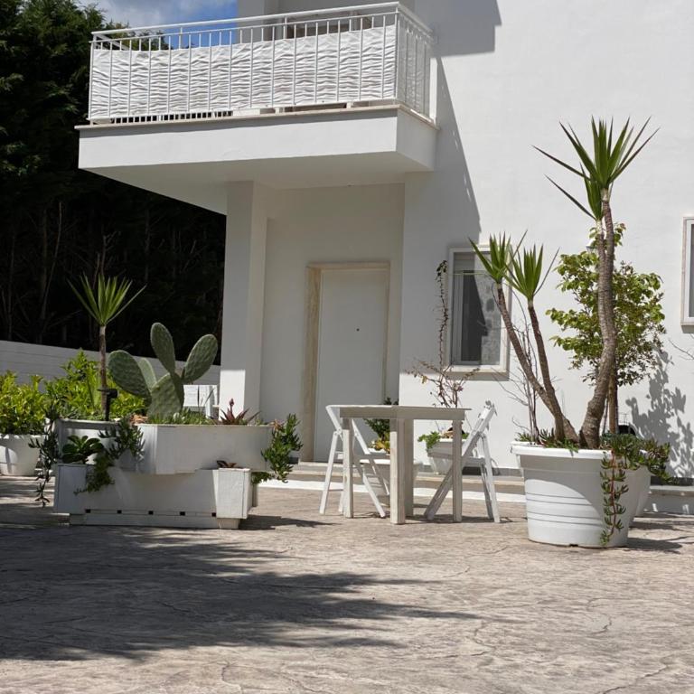 La casa di Nina - Apartment - Ground Floor - 21