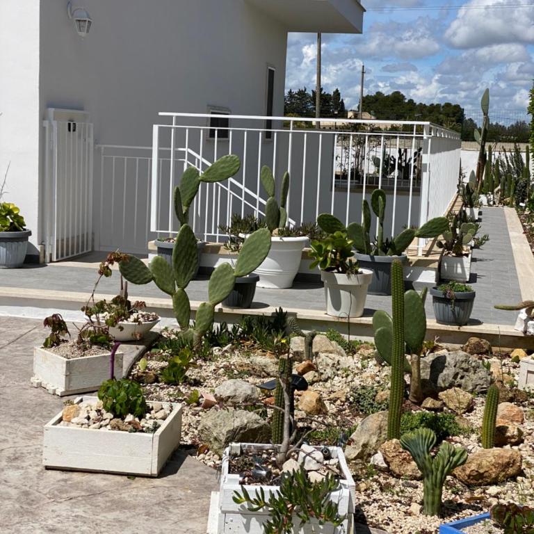 La casa di Nina - Apartment - Ground Floor - 25