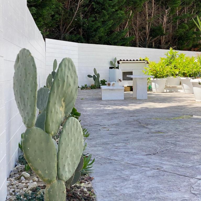 La casa di Nina - Apartment - Ground Floor - 22