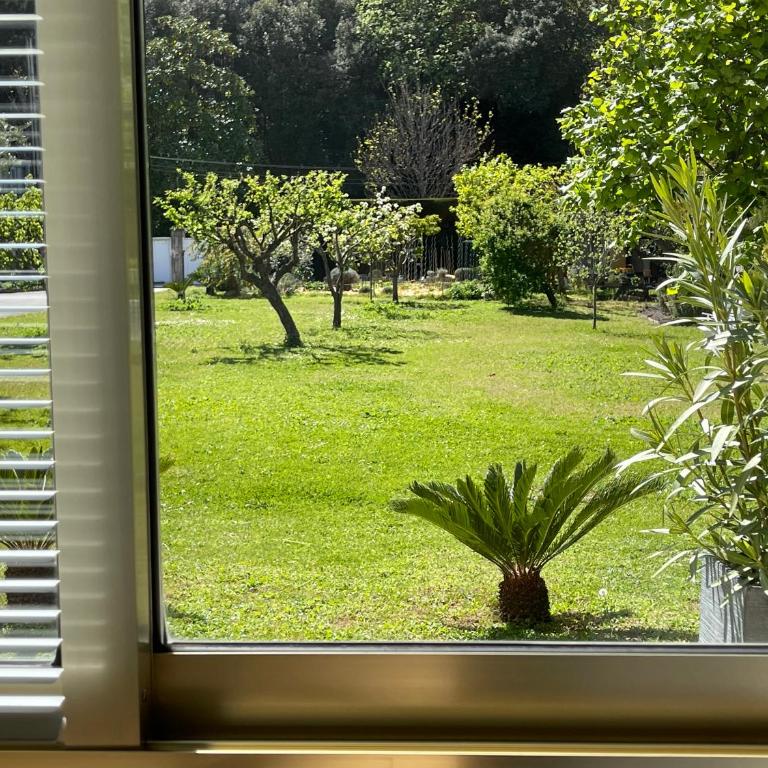 Studio tout confort au calme avec jardin proche Cannes - Appartement 1 Chambre - 18