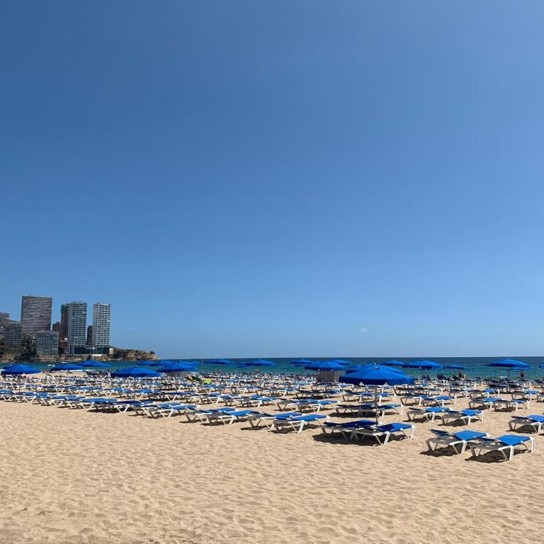 Apartment Ducado 41 Benidorm Playa levante 4 P - One-Bedroom Apartment - 18