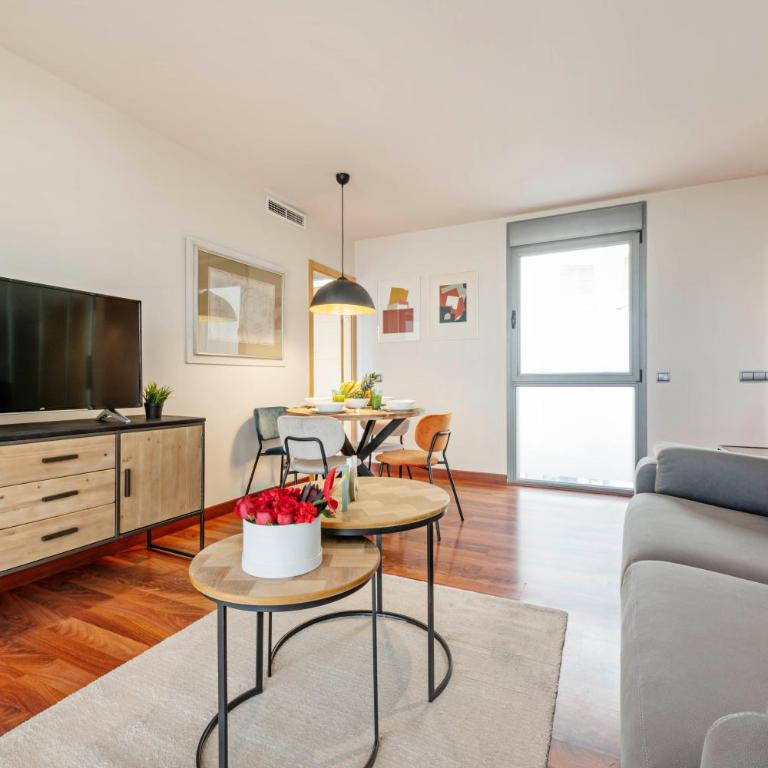 Luxury apartments in Barrio Palacio - Deluxe Apartment - 1