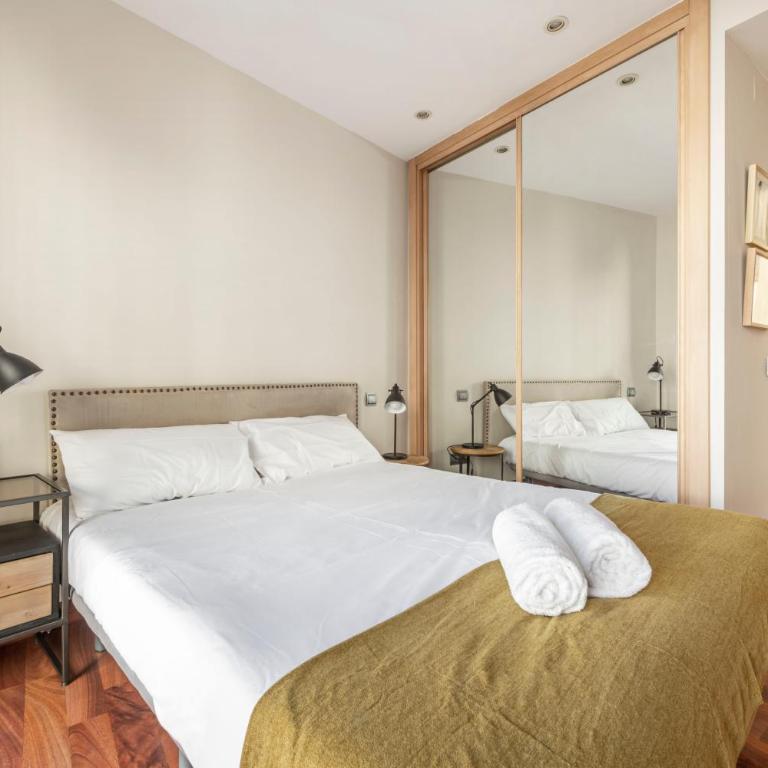 Luxury apartments in Barrio Palacio - Apartamento Deluxe - 7