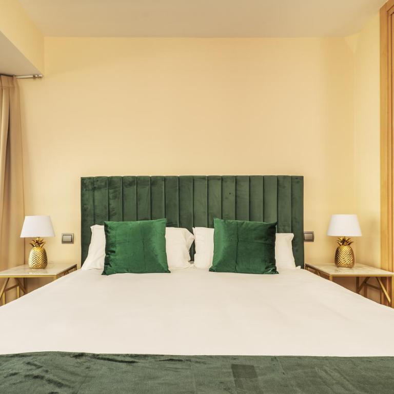 Luxury apartments in Barrio Palacio - Apartment with Terrace - 9