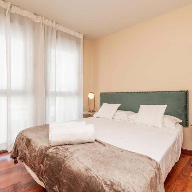 Luxury apartments in Barrio Palacio - Deluxe Apartment - 2