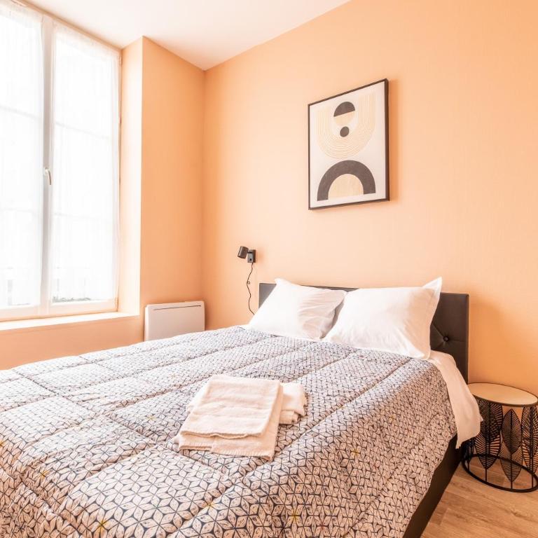 Cosy F3 Lamartine 102 Coeur-Centre - Appartement 2 Chambres - 15